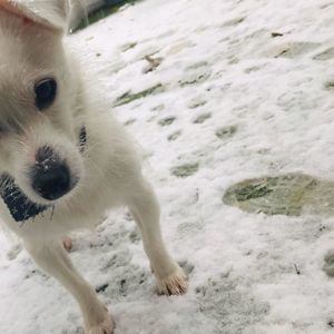 Meet your Posher, Haley